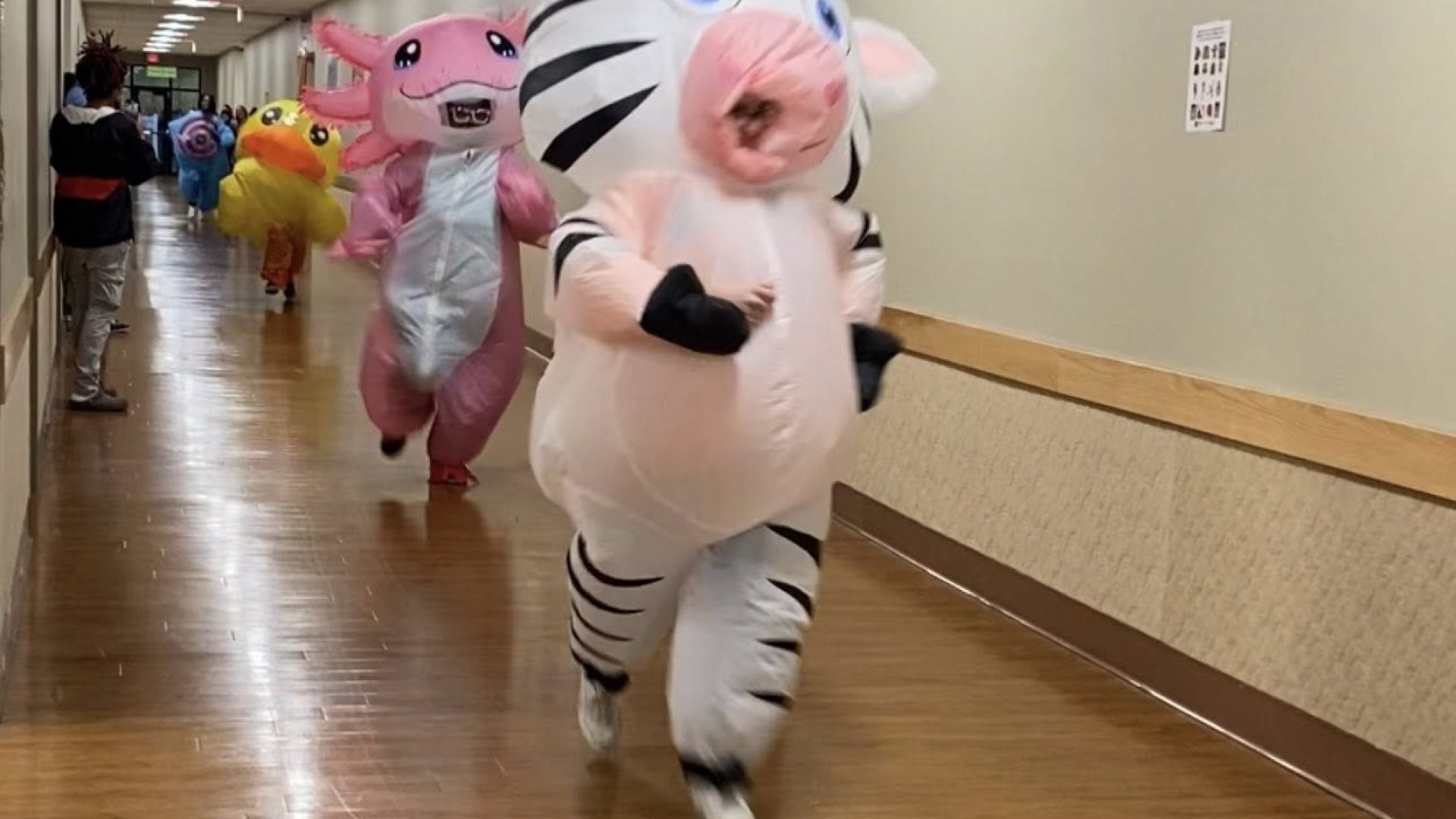 19